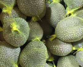 Fozen Durian Fruit